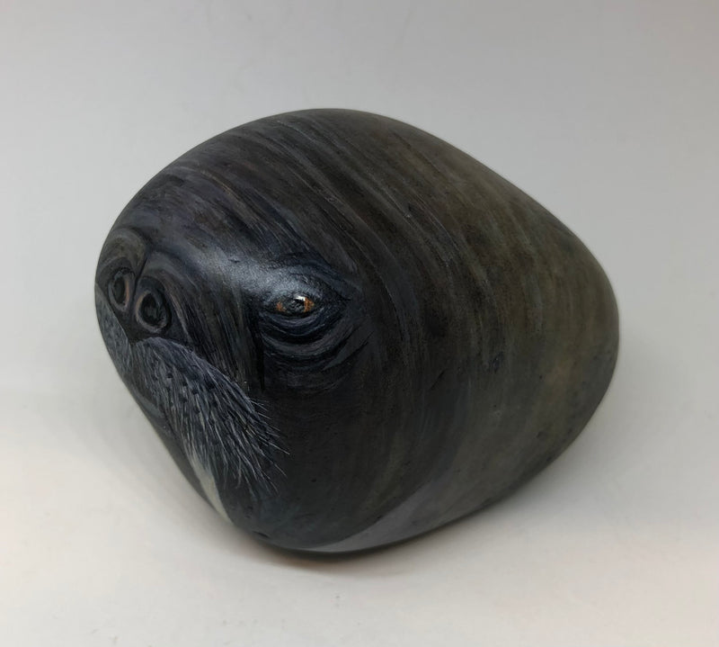 Walrus - handpainted pebble by Rosemary Timney