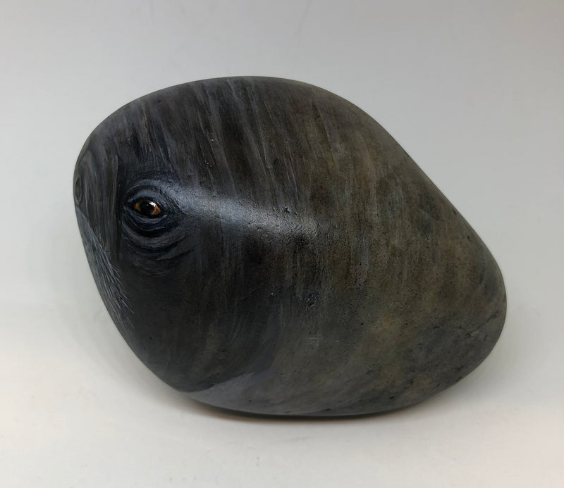Walrus - handpainted pebble by Rosemary Timney