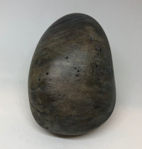 Walrus - handpainted pebble by Rosemary Timney