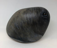 Walrus - handpainted pebble by Rosemary Timney