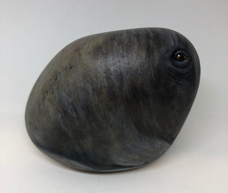 Walrus - handpainted pebble by Rosemary Timney