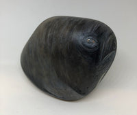 Walrus - handpainted pebble by Rosemary Timney