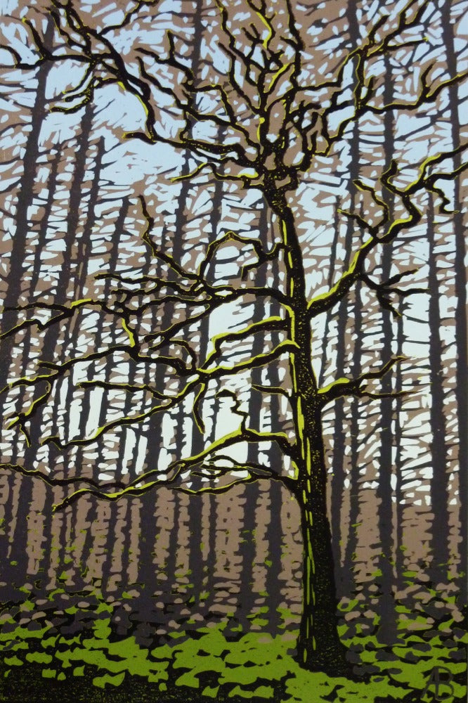 "Winter Oak" Limited Edition Reduction Linocut Print by Alexandra Buckle