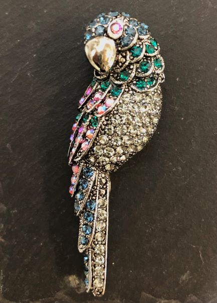 Crystal Parrot Brooch in Zircon by Jieun